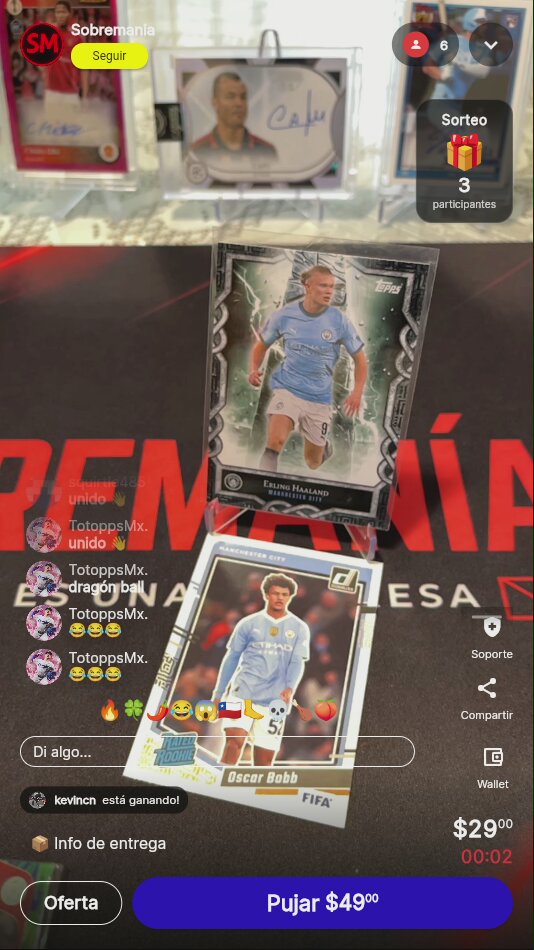Artículo