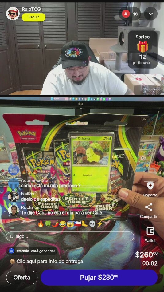 Pokémon Perfect Order Blister Chikorita