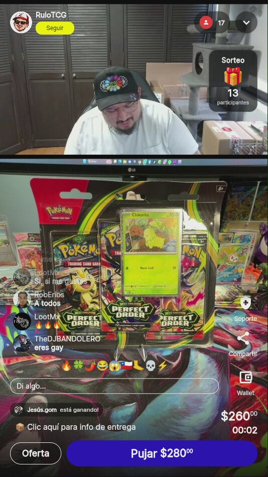 Pokémon Perfect Order Chikorita Blister