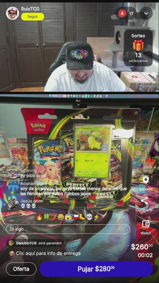 Pokémon Perfect Order Blister Chikorita