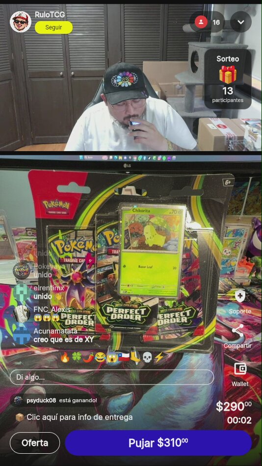 Pokémon Perfect Order Blister Chikorita