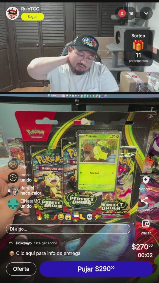 Pokémon Perfect Order Chikorita Blister