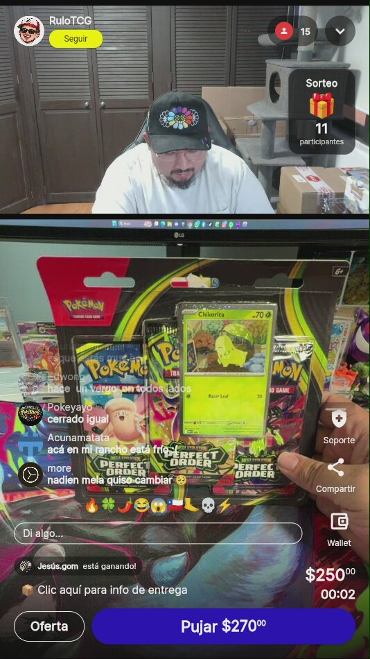 Pokémon Perfect Order Blister Chikorita