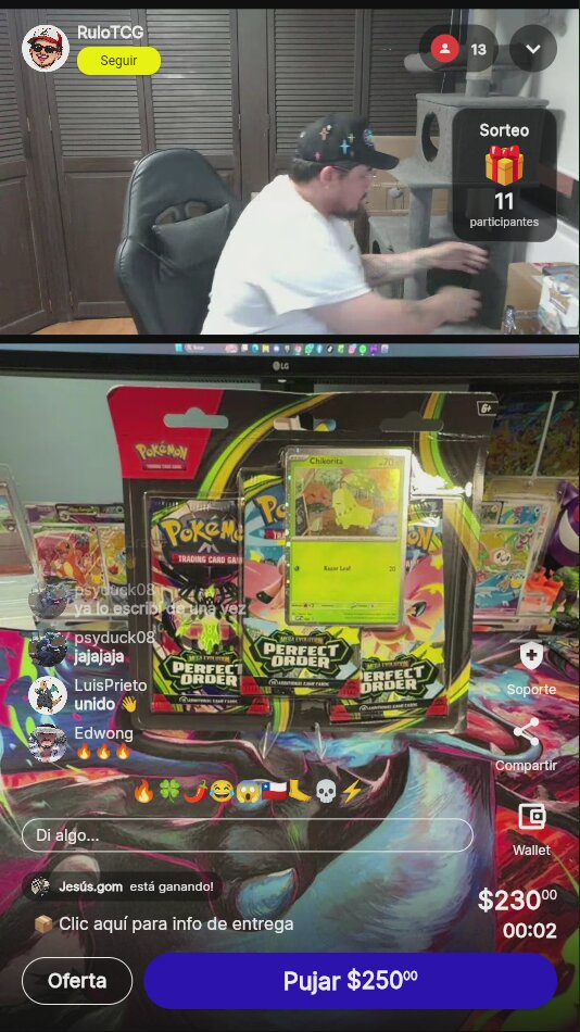 Pokémon Perfect Order Blister Chikorita