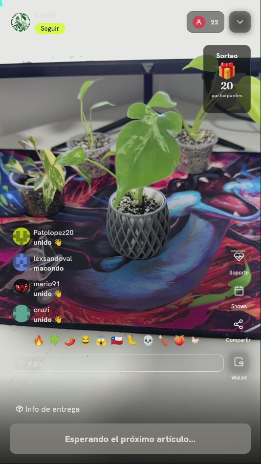 Planta exótica variegada en maceta