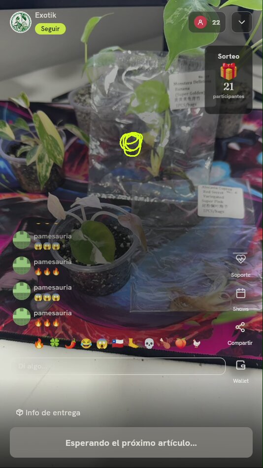 Plantas Exóticas y Variegadas