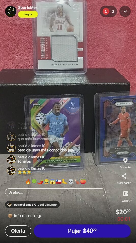 Artículo vendido