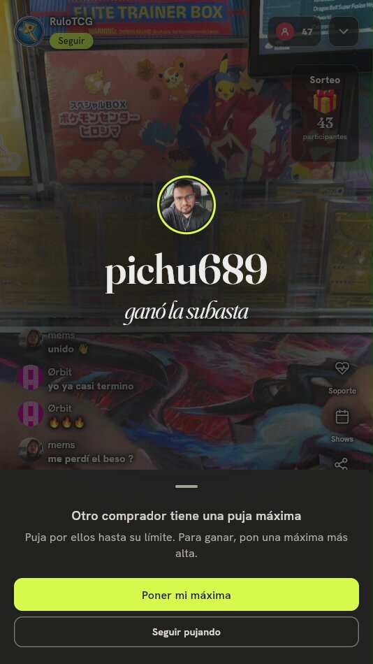 Lote Cartas Pokémon Pikachu Holo