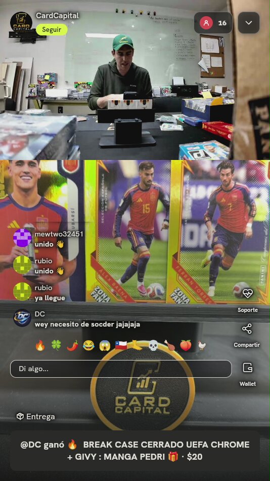 Lote Cartas Panini Selección Española