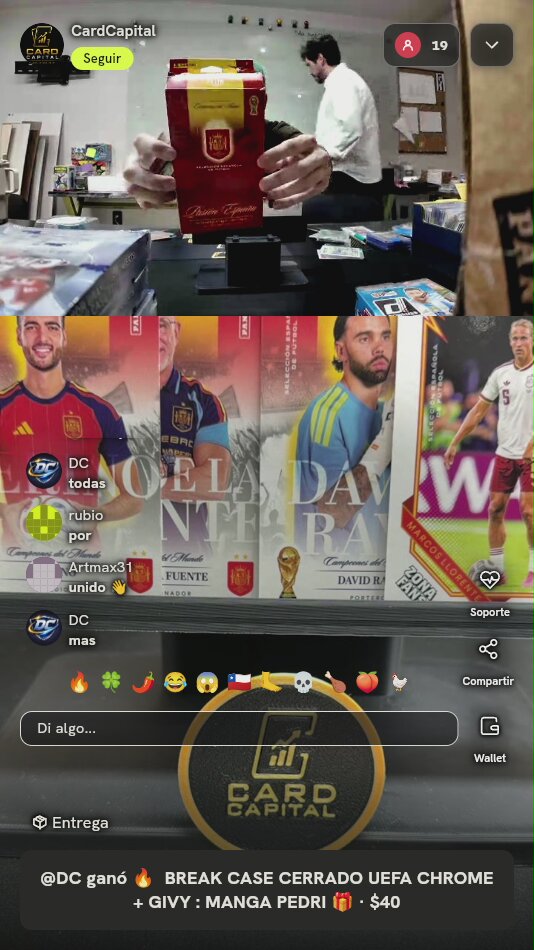Lote Cartas Panini Selección Española