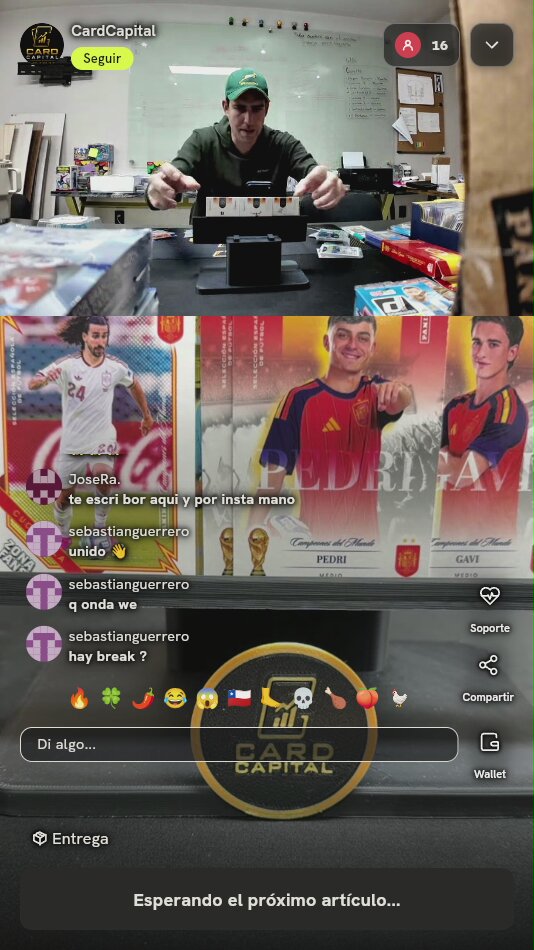Lote Cartas Panini Selección Española