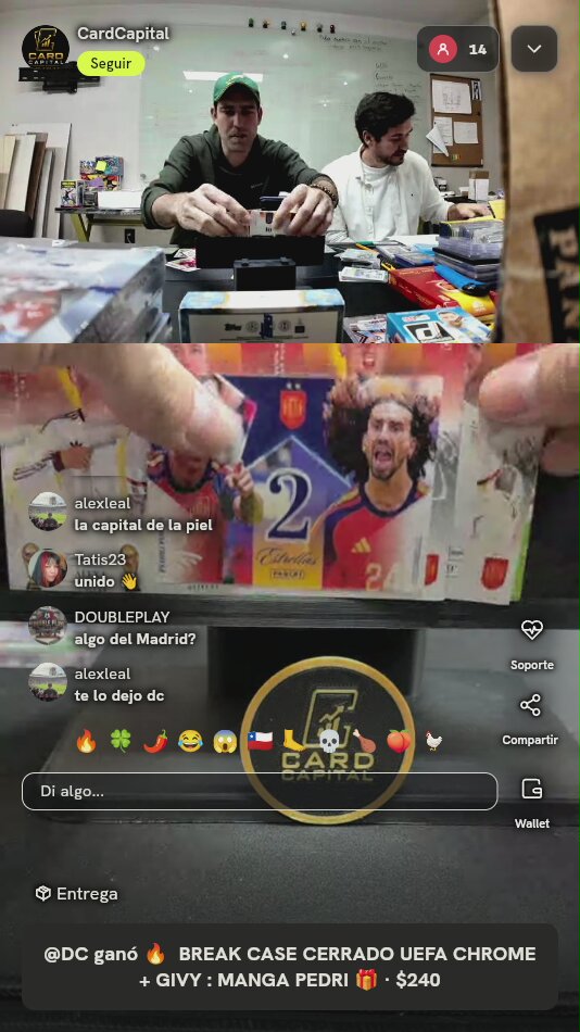 Lote Cartas Panini Selección Española