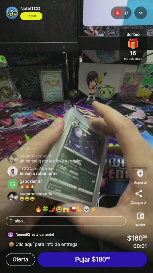 Pokémon Evolutions Eeveelutions Lote