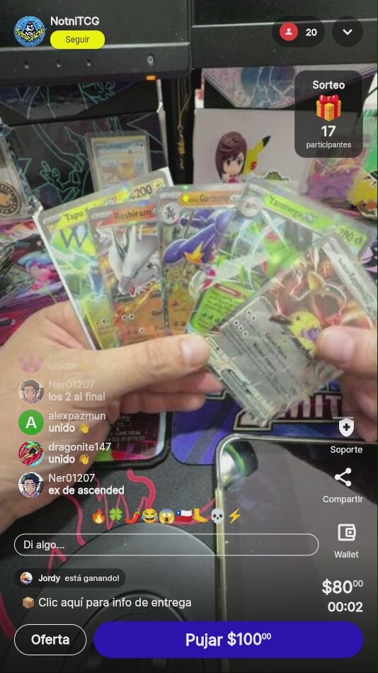 Lote de cartas Pokémon Ascender