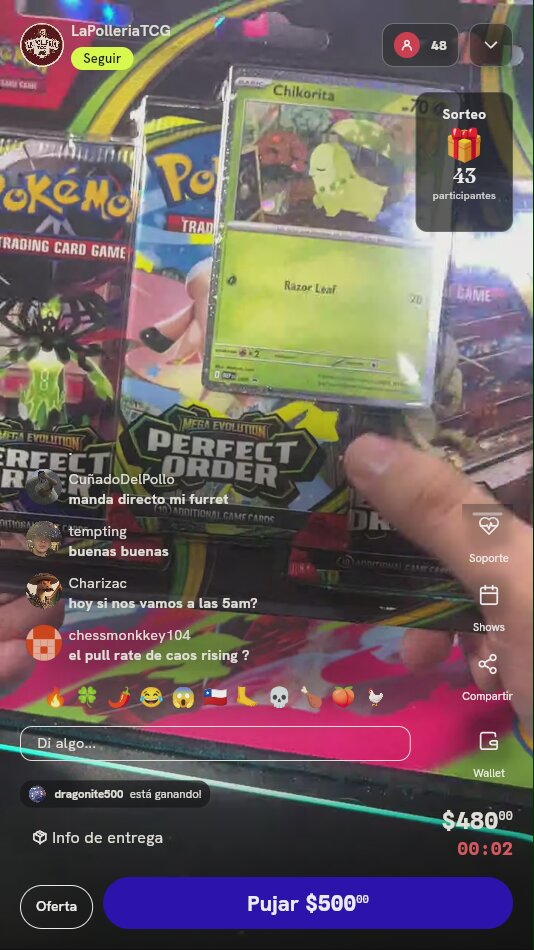 Blister Pokémon Perfect Order Chikorita
