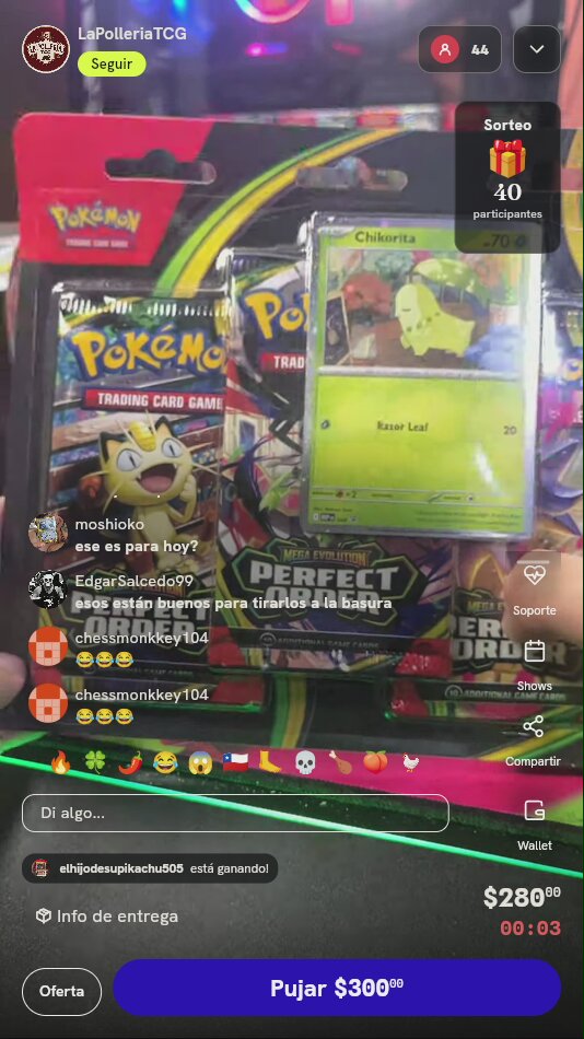 Blister Pokémon Perfect Order con Chikorita
