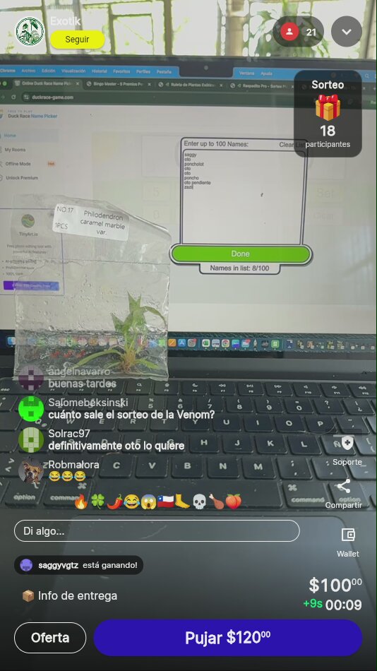 Artículo
