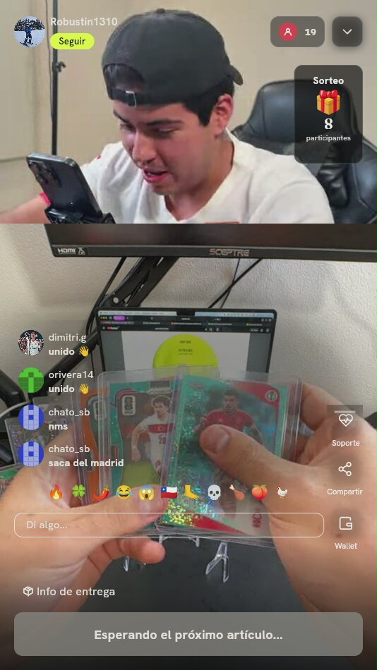 Lote de Cartas Panini Soccer
