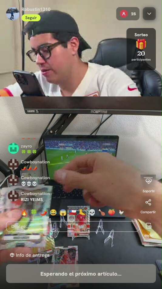 Lote Cartas de Fútbol Panini