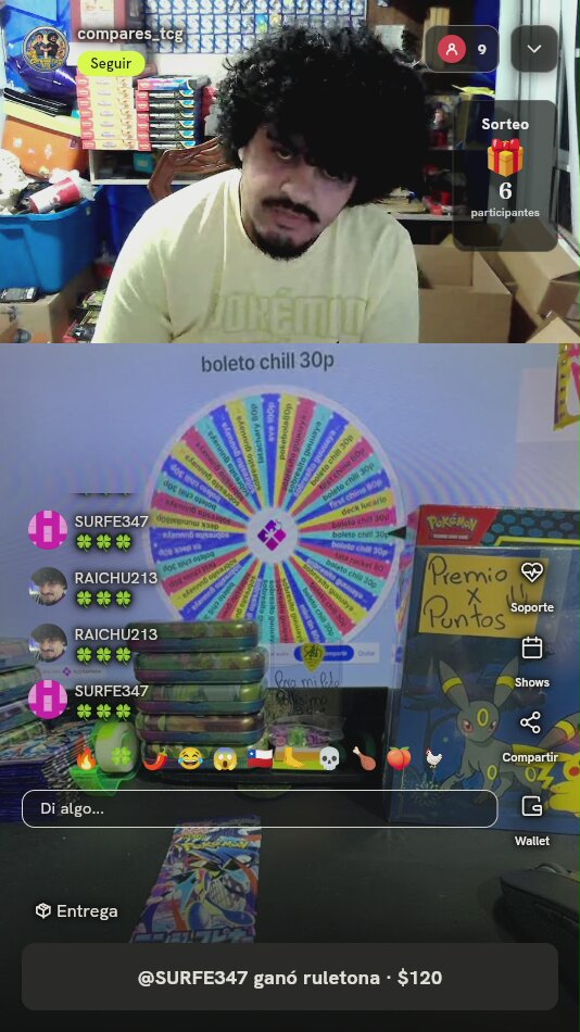 Sobre Pokémon Ninja Spinner