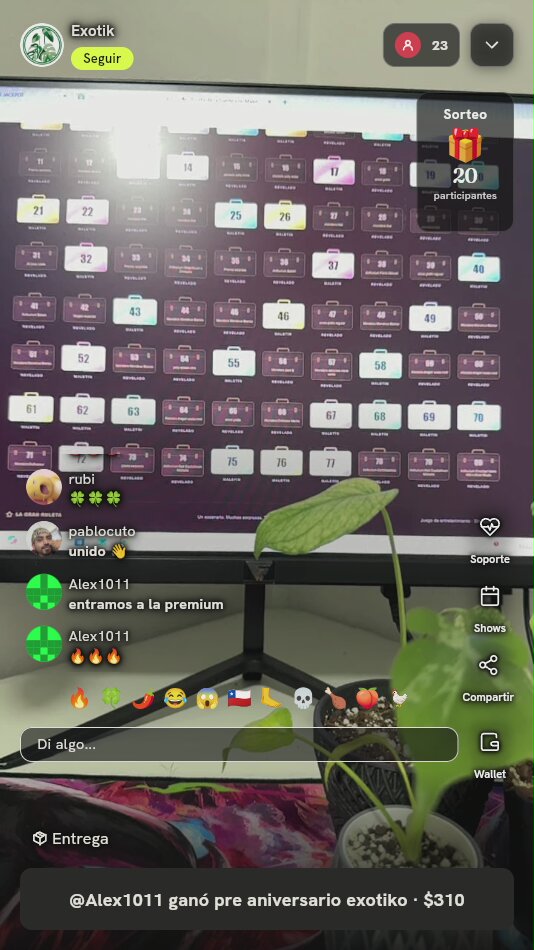 Planta Tropical de Follaje en Maceta