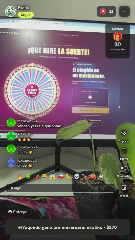 Planta Variegada en Maceta