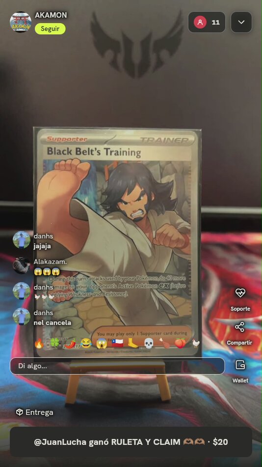 Black Belt's Training Ascended Heroes