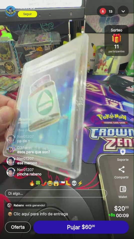 Pokémon: N's Point Up Trainer