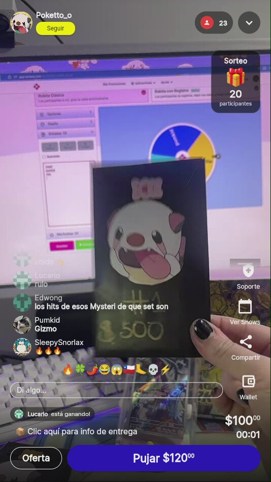 Pokémon Lucario Mystery Box