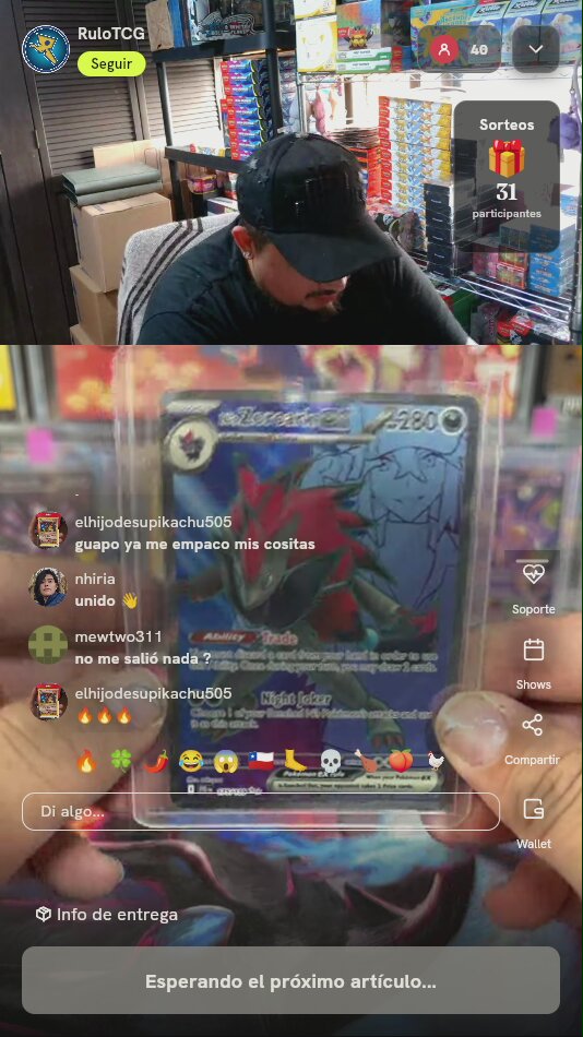 Carta Pokémon N's Zoroark ex