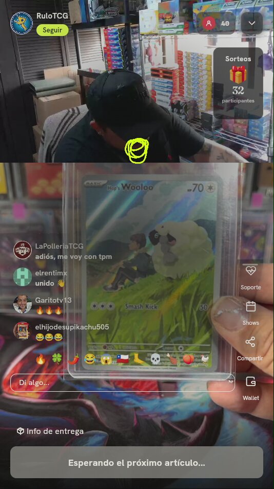 Carta Pokémon Hop's Wooloo IR
