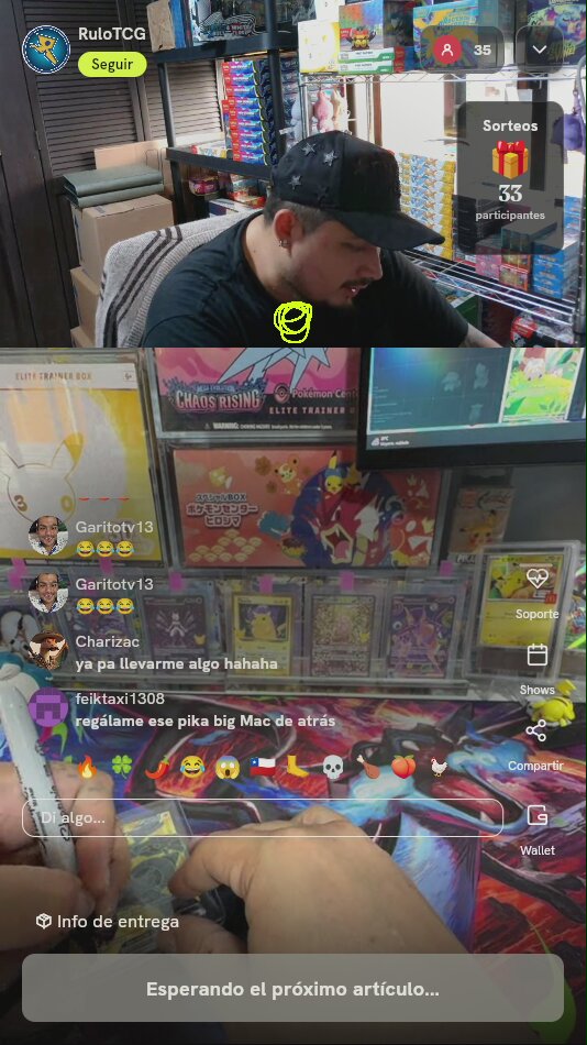 Carta Pokémon Zekrom ex