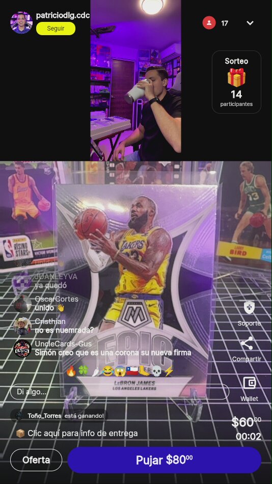 LeBron James Panini Mosaic Card