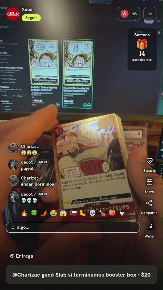 Lote Cartas One Piece TCG