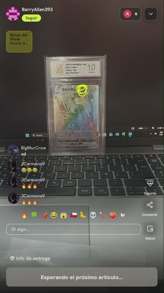 Carta Pokémon Boltund VMAX Graduada